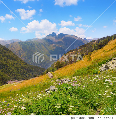 Mountain landscape,meadow, hiking trail and sky. Mountain landscape,meadow, hiking trail and sky. 36253683