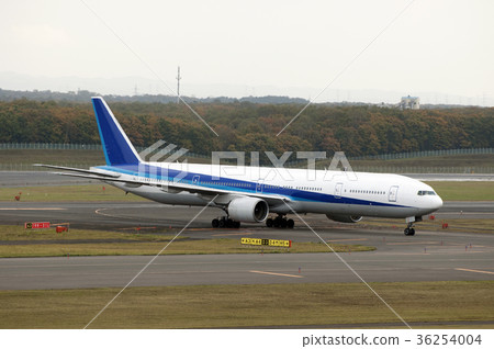 Airport 36254004
