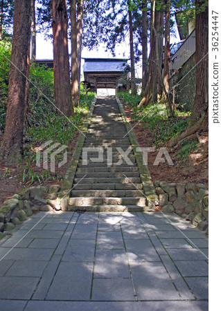 安樂寺 安樂寺 36254447