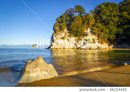 Creek in Abel Tasman National park, New Zealand 36254485