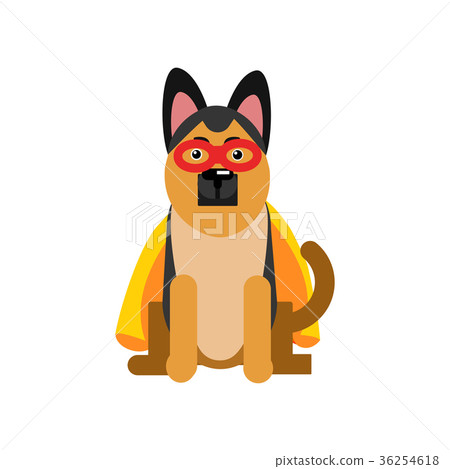 Superhero dog, sheepdog wearing an orange cape Superhero dog, sheepdog wearing an orange cape 36254618