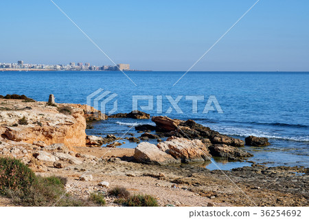 Torrevieja Torrevieja 36254692