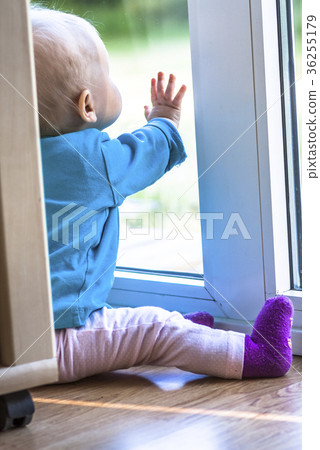 View form behind of toddler sitting in front of a View form behind of toddler sitting in front of a 36255179