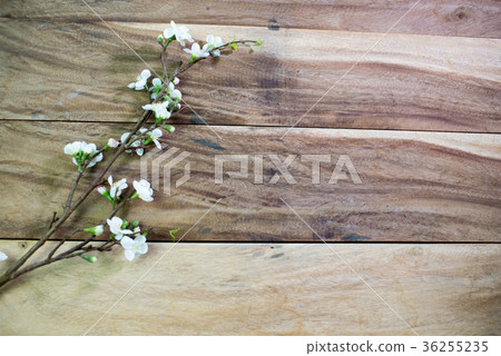 Chamelaucium flowers (waxflower) on wooden table Chamelaucium flowers (waxflower) on wooden table 36255235