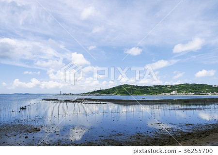 Okinawa Okinawa 36255700