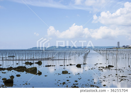 Okinawa Okinawa 36255704