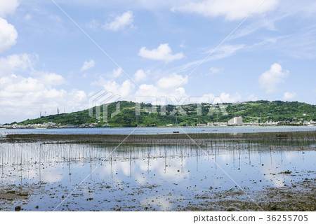 Okinawa Okinawa 36255705