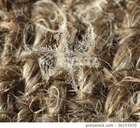 Transparent snowflake 36255970