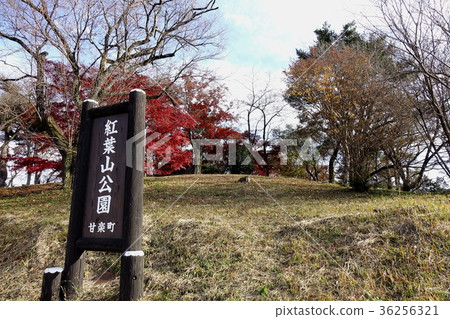 紅葉山公園 36256321