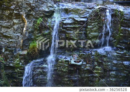 Clear current of Yasui Valley, Kochi Prefecture 36256528