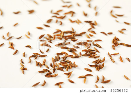 fingerful of caraway seeds fingerful of caraway seeds 36256552