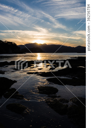 Setting sun 36256784
