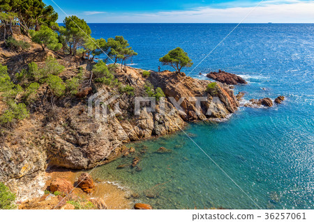 Nice detail from Costa Brava coastal in Spain Nice detail from Costa Brava coastal in Spain 36257061