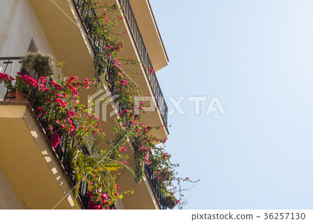 Building with balconies decorated flowers 36257130