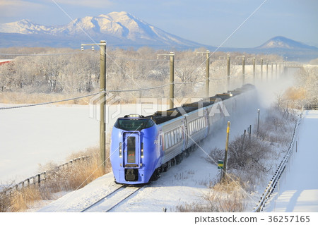 Super Orosara Super Orosara 36257165