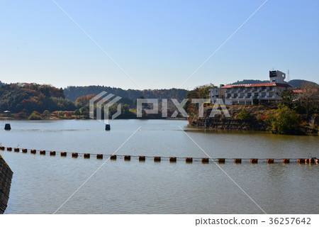 Kameyama lake 36257642