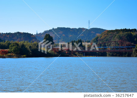 Kameyama lake 36257647