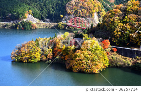 Lake and autumn leaves Lake and autumn leaves 36257714