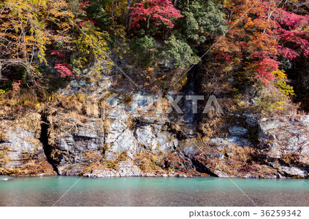 從岩石榻榻米景觀 36259342