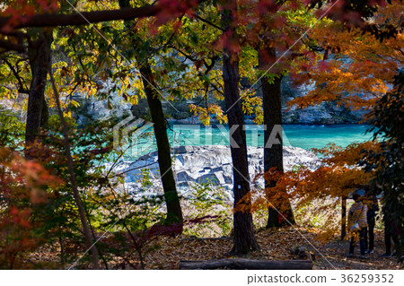 Moon Stone Maple Park 36259352