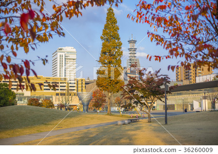 Autumn leaves and Oita Station on the road Autumn leaves and Oita Station on the road 36260009