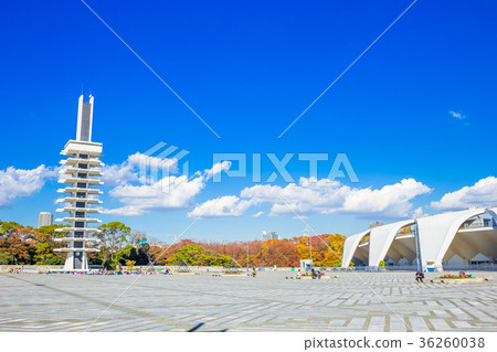 東京駒澤奧林匹克公園中央廣場的景色 36260038