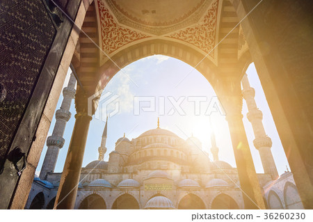 the gates of the Blue Mosque Turkey Istanbul the gates of the Blue Mosque Turkey Istanbul 36260230