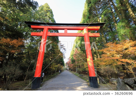 Kirishima Jingu Ninomiya Torii 36260696