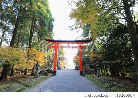 Kirishima Jingu Ninomiya Torii Kirishima Jingu Ninomiya Torii 36260697
