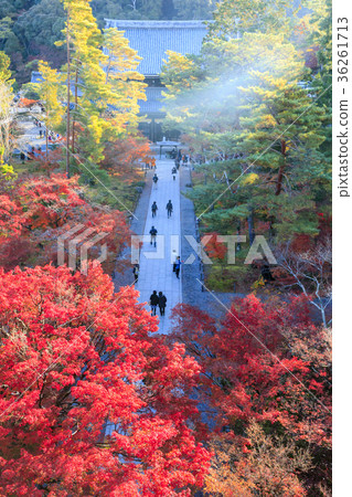 Nanzenji Autumn leaves 36261713