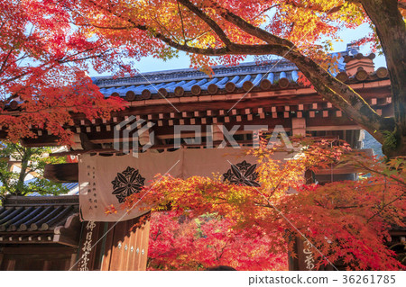 Eikan-do秋葉 36261785