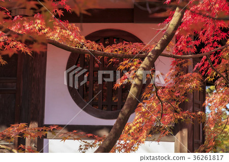 Eikan-do秋葉 36261817