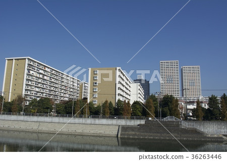 浦安市11月 浦安市11月 36263446