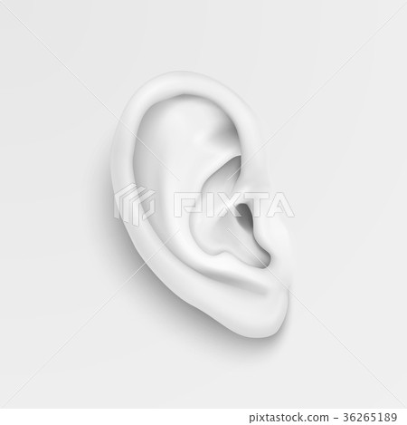 Vector black and white background with realistic Vector black and white background with realistic 36265189