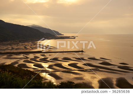 Sand tideland of Ariake Sea Sand tideland of Ariake Sea 36265636