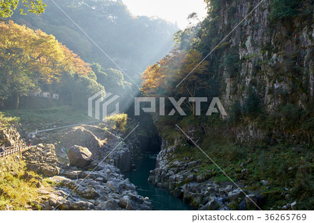 高千穗峽谷 36265769
