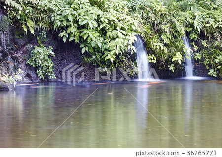 Takachiho Gorge, Onoko Pond 36265771