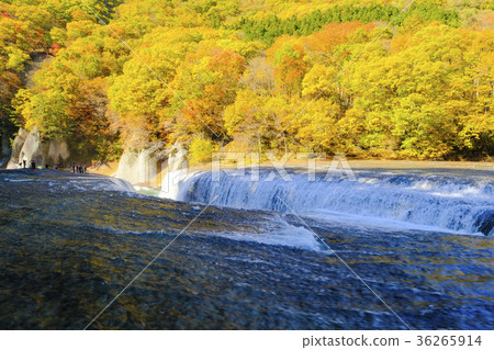 Autumn forest and waterfall Autumn forest and waterfall 36265914