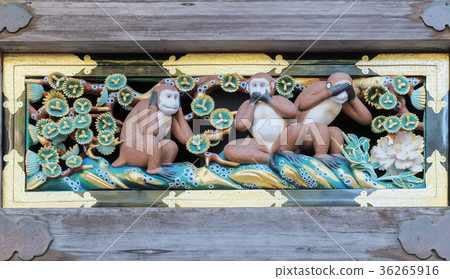 Monkey of Toshogu Shrine Monkey of Toshogu Shrine 36265916