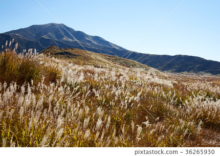 草千里 草千里 36265930