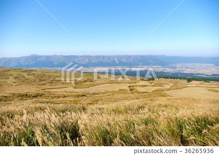 Scenery of Aso 36265936