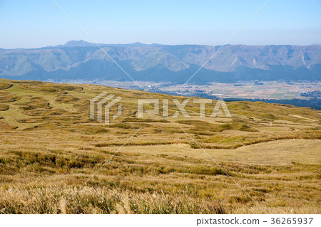 Scenery of Aso 36265937