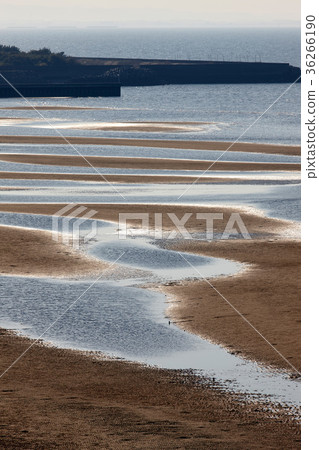 Masutama coast Masutama coast 36266190