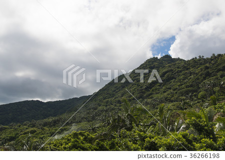 米原八重山棕櫚社區（石垣島） 36266198