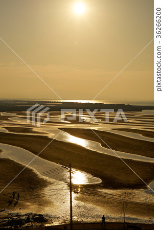 Masutama海岸晚上風景 Masutama海岸晚上風景 36266200