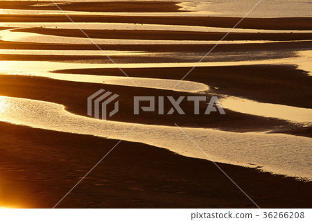 Evening scenery of Masutama coast 36266208