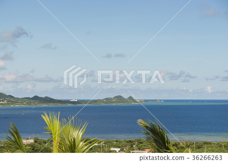 從米原(石垣島)看河景 從米原(石垣島)看河景 36266263