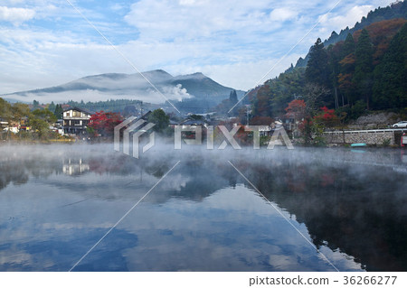 Morning mist gold scales lake 36266277