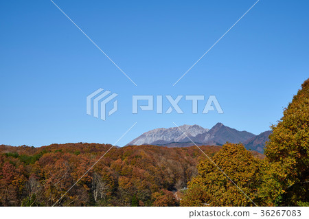 Oyama seen from Kashiyama Kogen 36267083