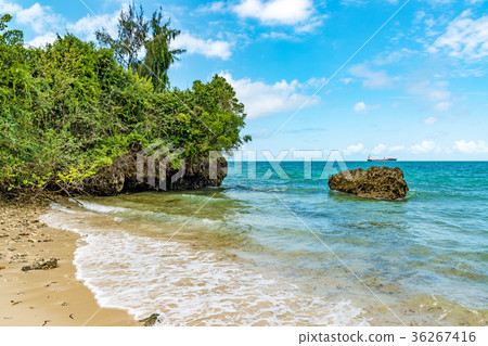 桑給巴爾海岸（坦桑尼亞，桑給巴爾） 36267416